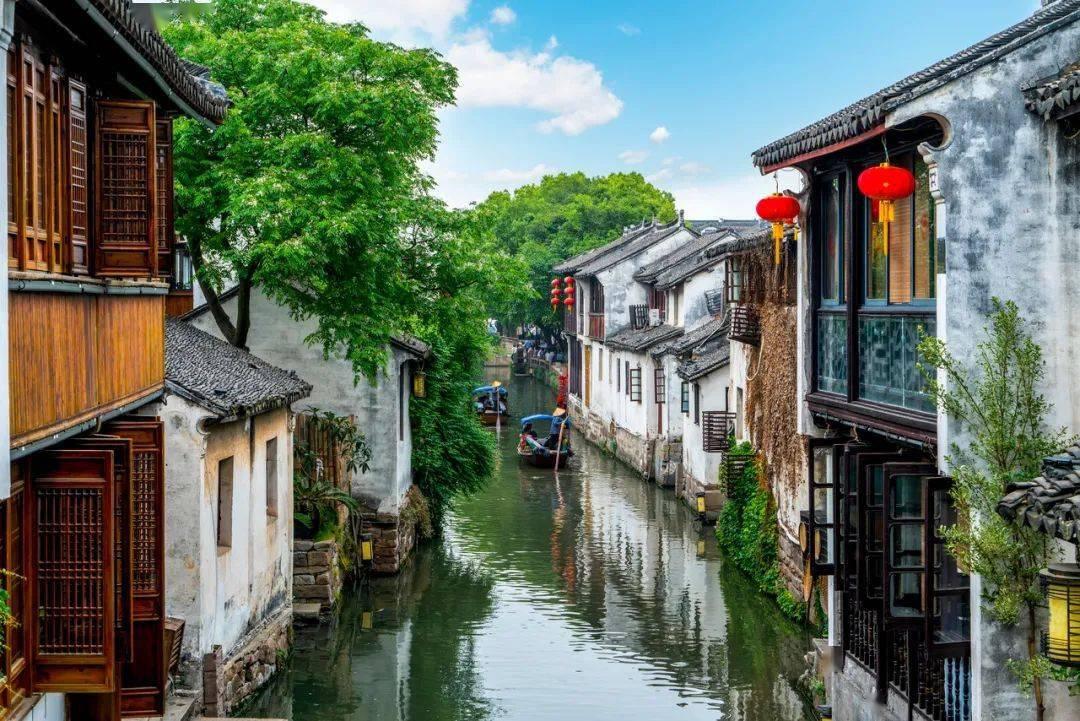植物大战僵尸9